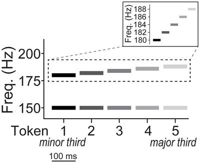 Functional Plasticity Coupled With Structural Predispositions in Auditory Cortex Shape Successful Music Category Learning